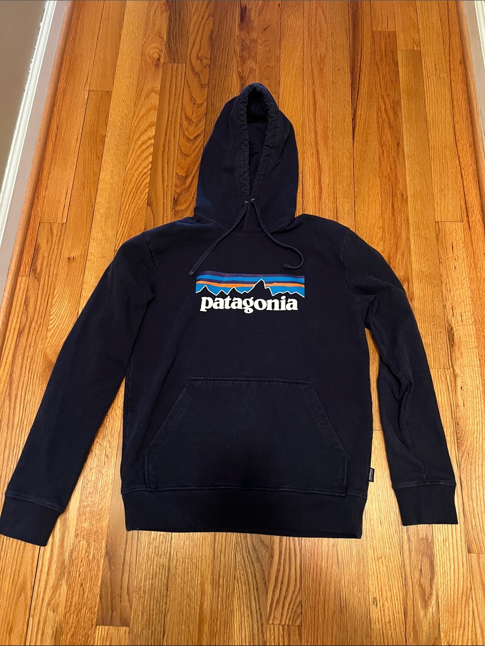Patagonia Navy Hooded Pullover with Mountain Logo Stripe